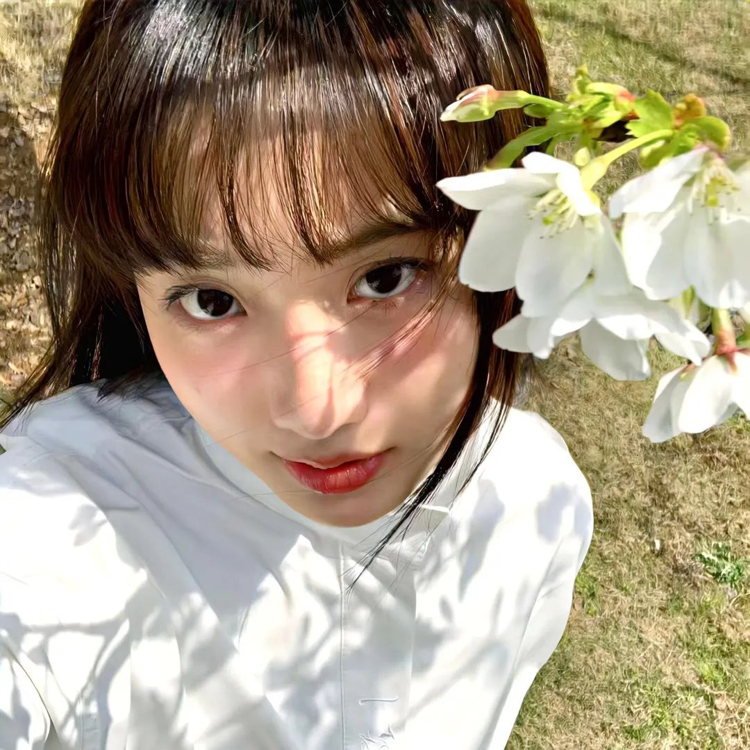 春曲丽影